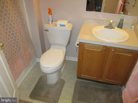 Bath - 49 Marble House Dr, Bear, DE 19701 photo 3 of 4
