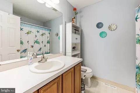 Bath - 376 Marldale Dr, Middletown, DE 19709 photo 3 of 3