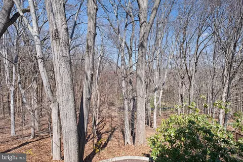 View/Area - 8 Forest Rdg, Newark, DE 19711 photo 1 of 1