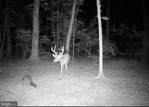 955 Dexter Corner Rd, Townsend, DE 19734 photo 7