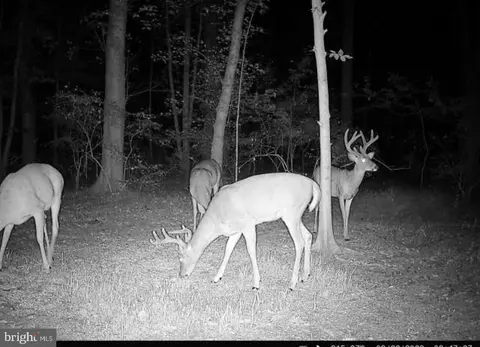 955 Dexter Corner Rd, Townsend, DE 19734 photo 10