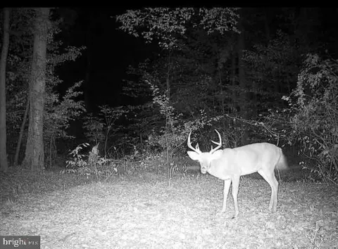 955 Dexter Corner Rd, Townsend, DE 19734 photo 9