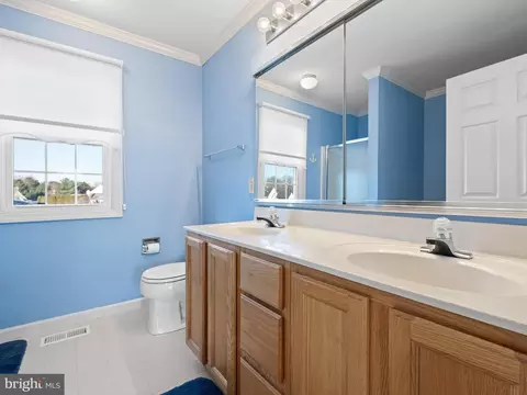 Bath - 410 Reading Ln, Middletown, DE 19709 photo 5 of 5