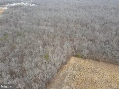 0 Dexter Corner Rd, Townsend, DE 19734 photo 6