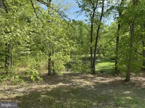 Exterior - 174 Pine Tree Rd, Townsend, DE 19734 photo 20 of 25