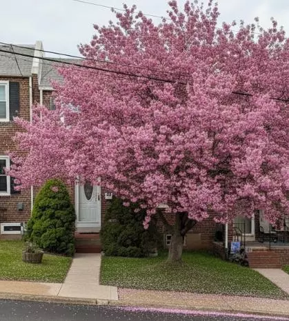 1407 Beech St, Wilmington, DE 19805