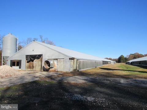 12247 E Line Rd, Delmar, DE 19940 photo 1