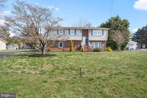 302 Nancy St, Georgetown, DE 19947 photo 37