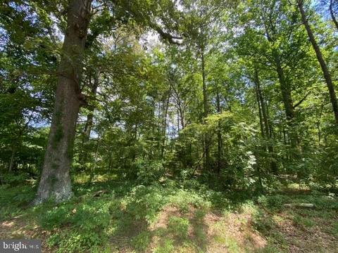 0 E Deep Branch Road, Georgetown, DE 19947