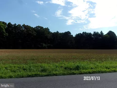 E Piney Grove Road, Georgetown, DE 19947