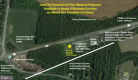 0 S Route 9, Milton, DE 19968