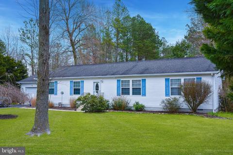 117 Crazy Horse Trl, Millsboro, DE 19966