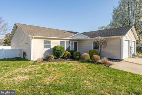 299 Meadows Ct, Millsboro, DE 19966