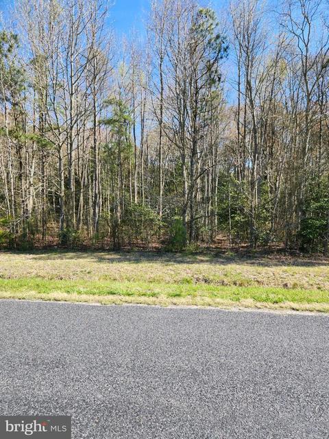 Lot 4 Johnson Road, Laurel, DE 19956