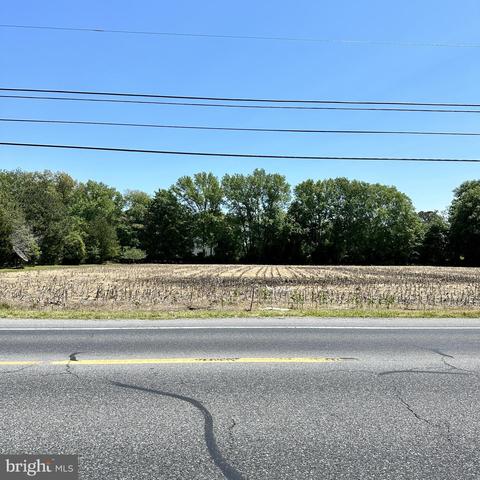 lot4 Roxana Rd, Selbyville, DE 19975