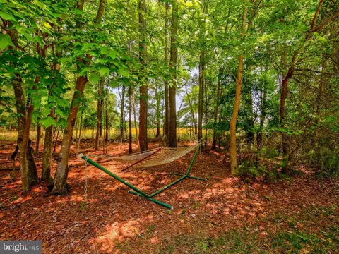 36359 Redstart Ct, Ocean View, DE 19970 photo 42