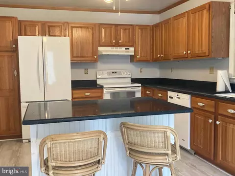 206 Chad Pl, Ocean View, DE 19970 photo 15