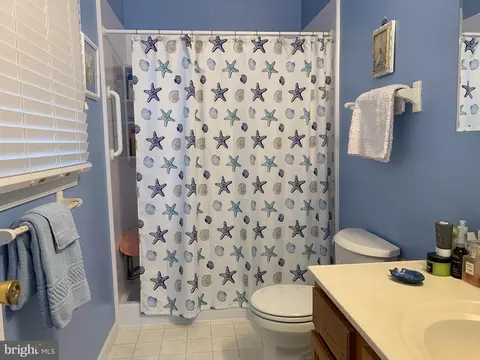 206 Chad Pl, Ocean View, DE 19970 photo 26