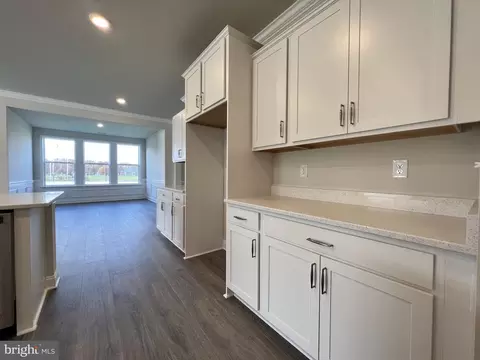 34182 Skyflower Loop, Lewes, DE 19958 photo 21