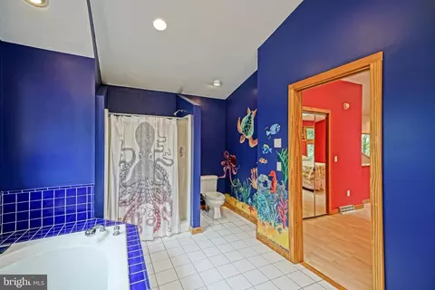 30146 W Mill Run, Milton, DE 19968 photo 42