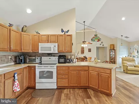 30056 W Mill Run, Milton, DE 19968 photo 13