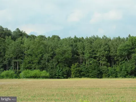 Old Stage Road, Laurel, DE 19956