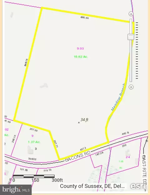 Bacons Road, Laurel, DE 19956