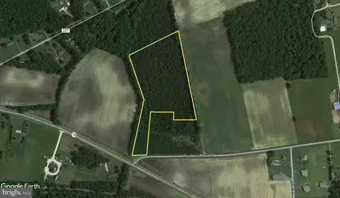 10 0 Acres Reynolds Pond Rd, Ellendale, DE 19941