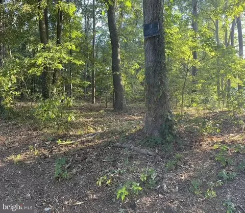 lot S 34 Blackwater Rd, Frankford, DE 19945