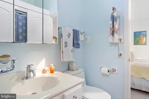 30563 Beach Plum Ln, Bethany Beach, DE 19930 photo 46