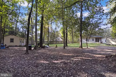 13757 Collins Pond Rd E, Georgetown, DE 19947 photo 40