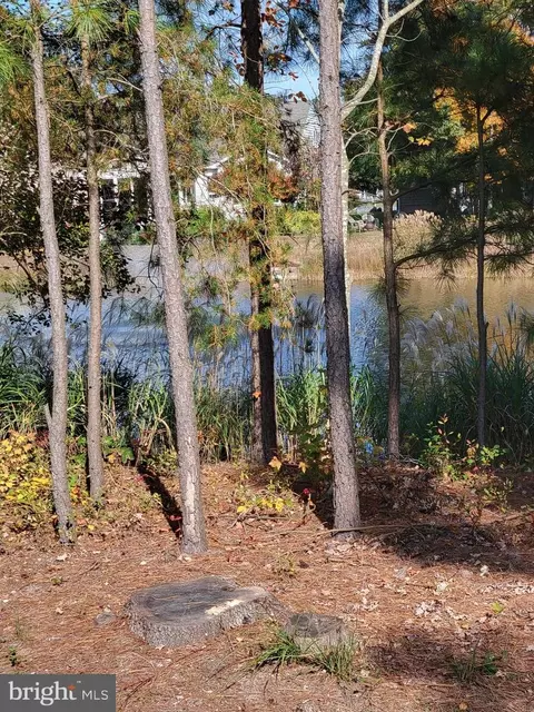 32593 Seaview Loop, Millsboro, DE 19966 photo 3