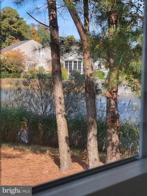 32593 Seaview Loop, Millsboro, DE 19966 photo 31