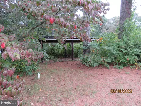 11459 Laurel Rd, Laurel, DE 19956 photo 22