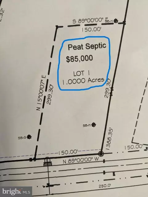 Lot #1 Old Furnace Road, Georgetown, DE 19947