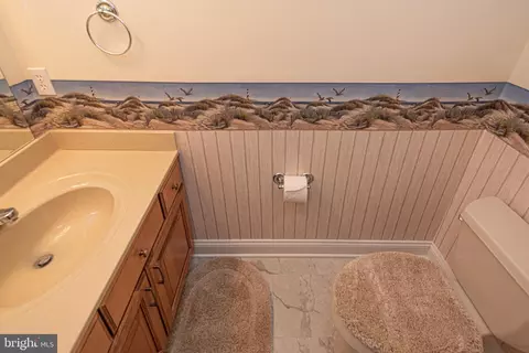 15825 Trap Dr, Laurel, DE 19956 photo 67