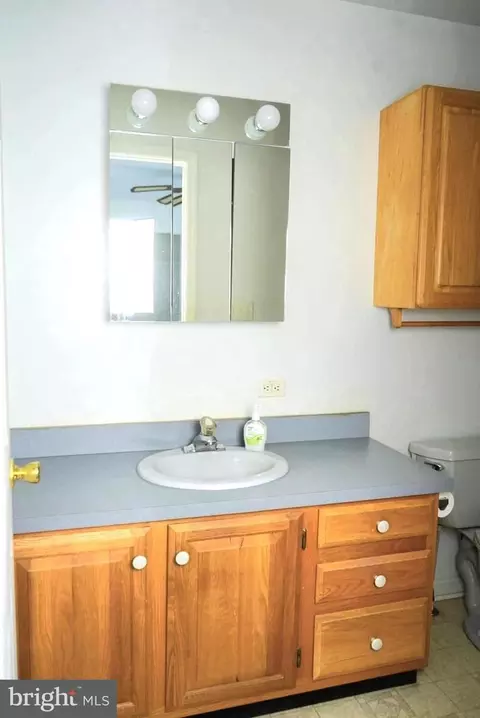 Bath - 24644 Peterkins Rd, Georgetown, DE 19947 photo 3 of 4