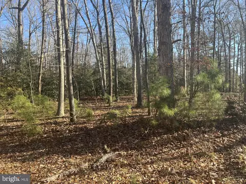 0 Turkle Pond Rd, Milton, DE 19968