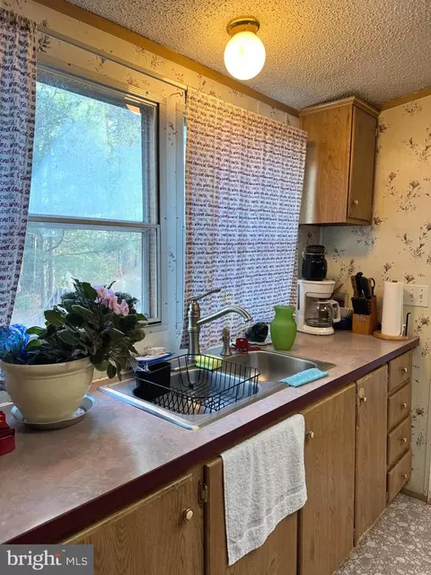 Kitchen - 18553 Downs Rd, Georgetown, DE 19947 photo 4 of 4