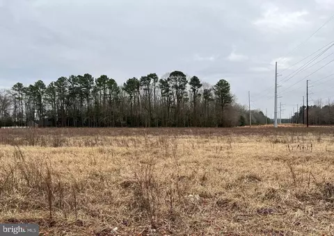 Lot 4 Harmons Hill Road, Millsboro, DE 19966