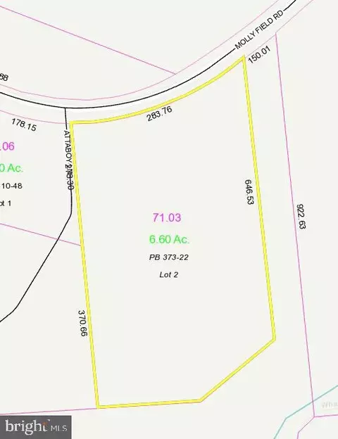 lot2 Molly Field Rd, Dagsboro, DE 19939