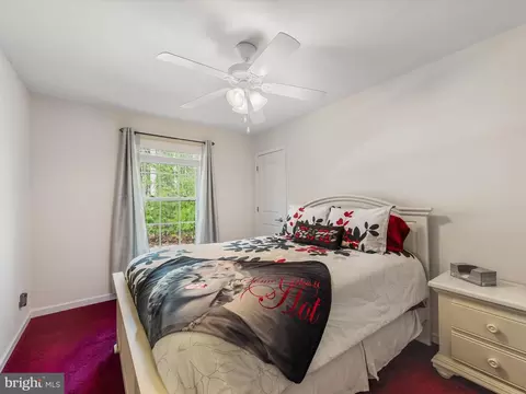 Bedroom - 24875 Bauler St, Georgetown, DE 19947 photo 7 of 12