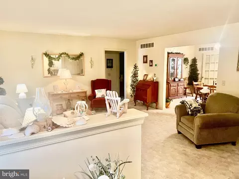 Living - 21147 Nib Ln, Georgetown, DE 19947 photo 1 of 11