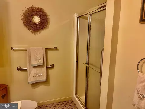 Bath - 21147 Nib Ln, Georgetown, DE 19947 photo 5 of 5