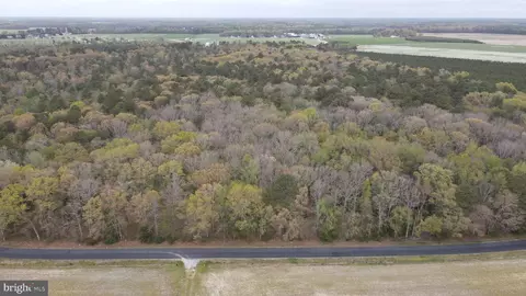 Lot 4 Deer Forest Road, Bridgeville, DE 19933