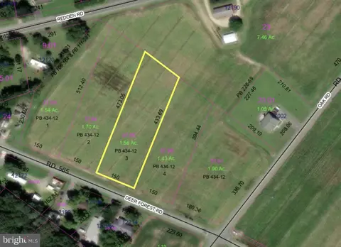 lot3 Deer Forest Rd, Bridgeville, DE 19950