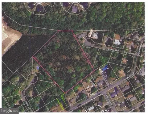 4 87 Acres Oak Orchard Rd, Millsboro, DE 19966