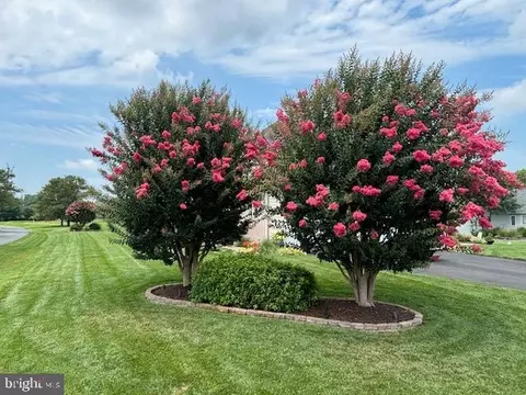 Other - 1 Glade Cir E, Rehoboth Beach, DE 19971 photo 1 of 14