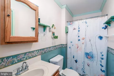 22539 Cedar Ln, Georgetown, DE 19947 photo 39