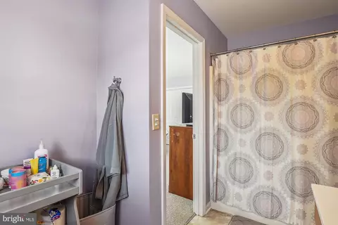 132 Tobin Dr, Milton, DE 19968 photo 11